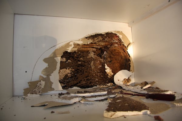 Termite damage and treatment area inside a home