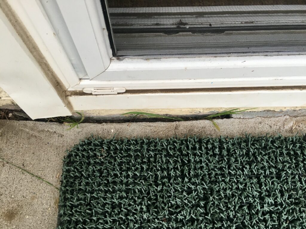 Foundation crack that can let pests enter a home