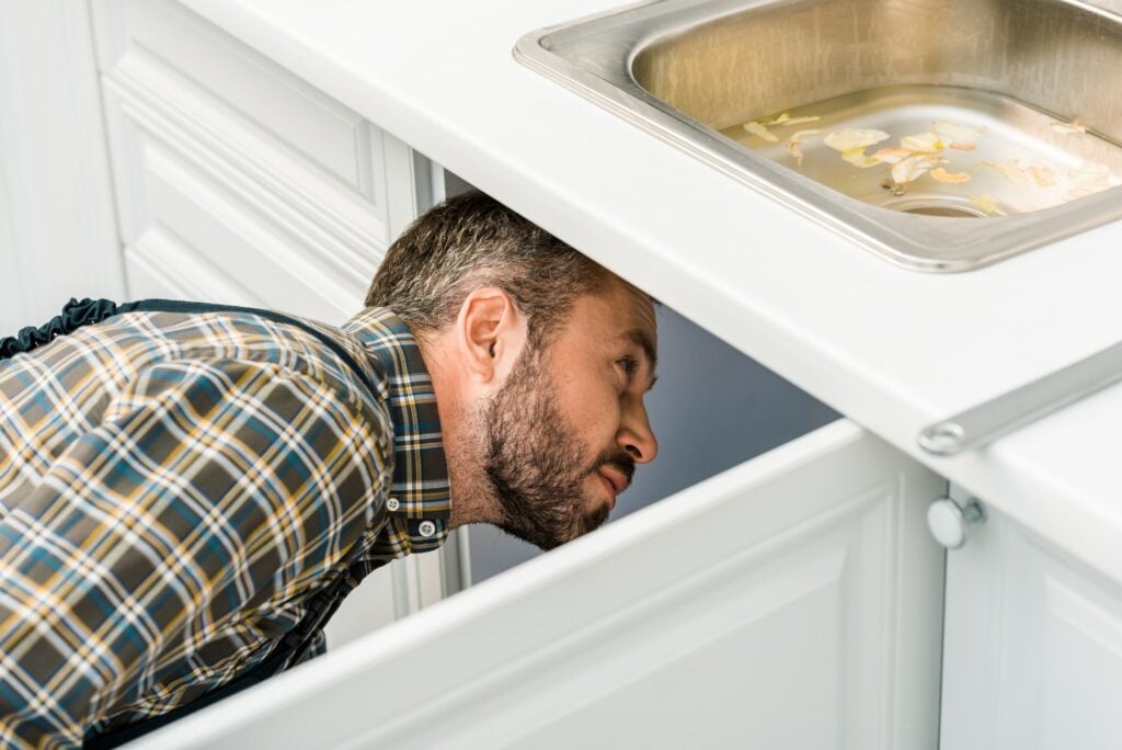 Checking drains and pipes under a sink to prevent pests